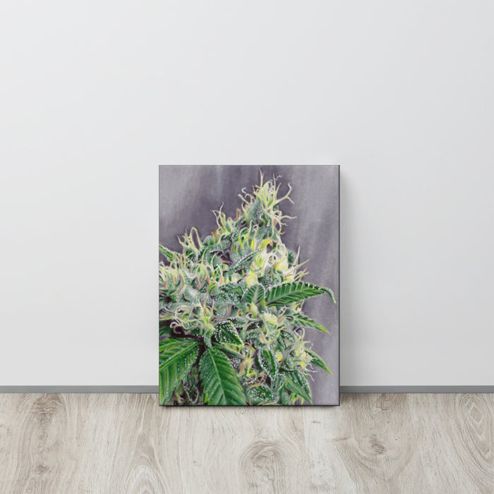 Lime Pop Flower Canvas