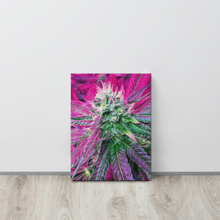 Raspberry Dream Flower Canvas