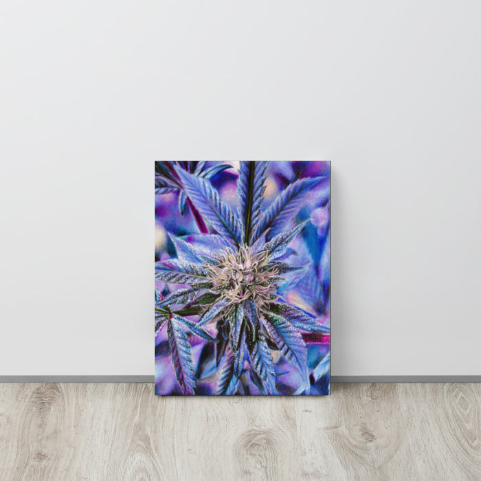 Blue Cheese Flower Canvas