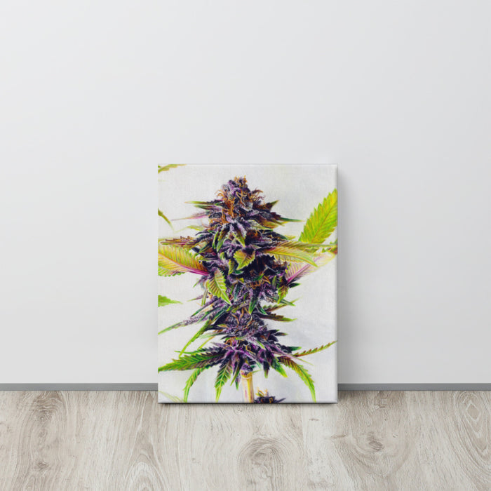 Starpupil Flower Canvas