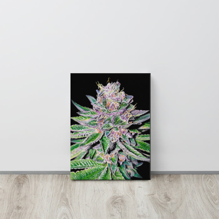 Grape Ape Flower Canvas