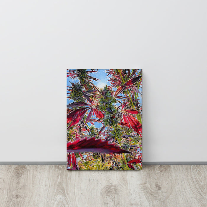Sour Daiquiri Flower Canvas Print