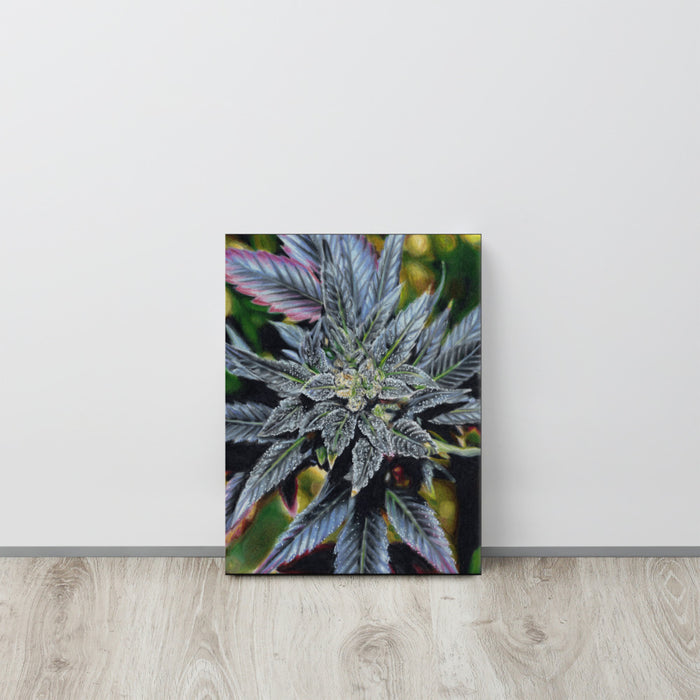 Pistachio Haze Flower Canvas Print