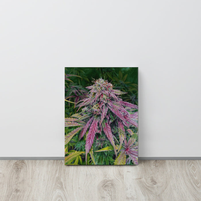 Bitter Apple OG Flower Canvas