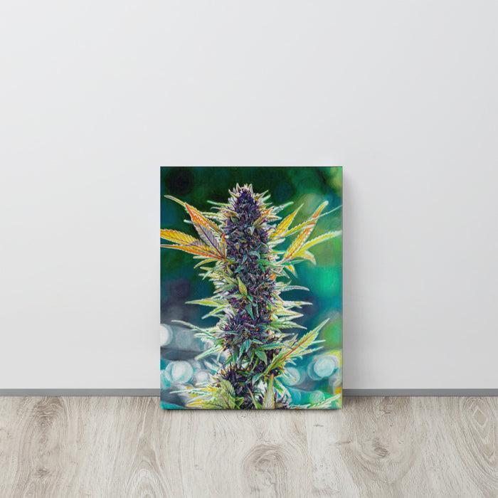 Purple Runtz Flower Canvas Print