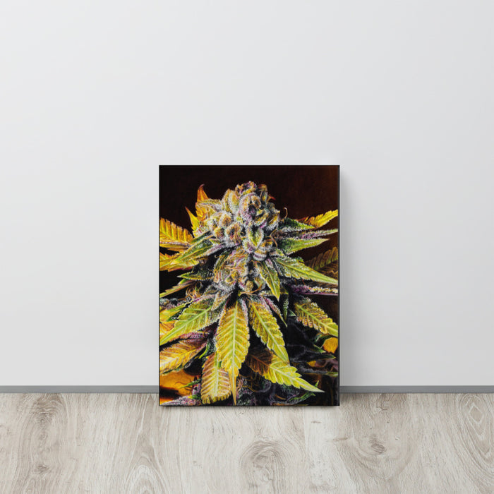 Durban Poison Flower Canvas