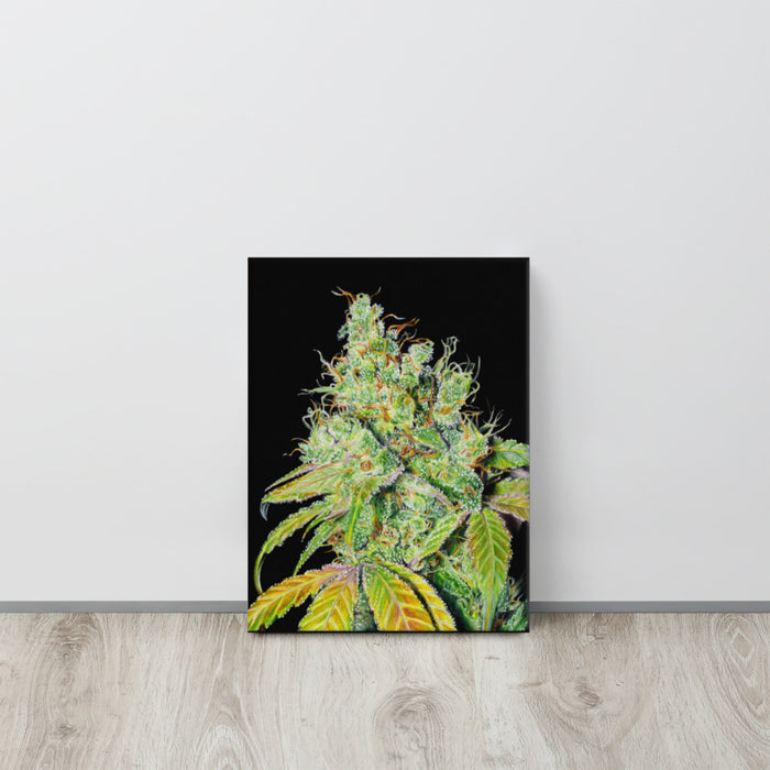 Tangie #3 Flower Canvas Print