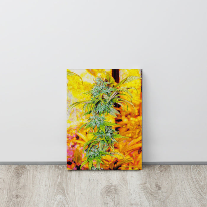 Lemon Skunk Flower Canvas Print