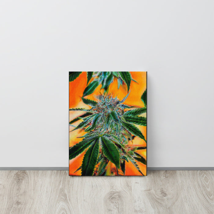 Tropicana Cookies Flower Canvas Print