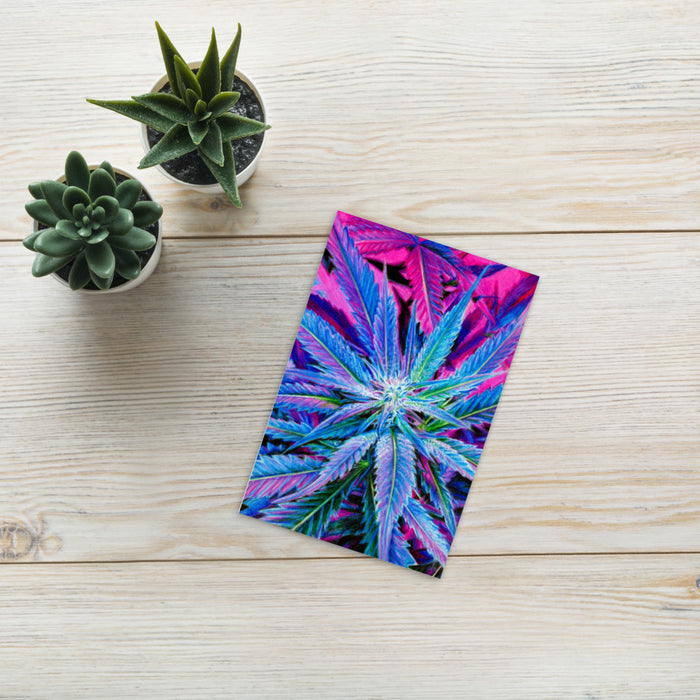 Blueberry Sherbet Flower Mini Photopaper