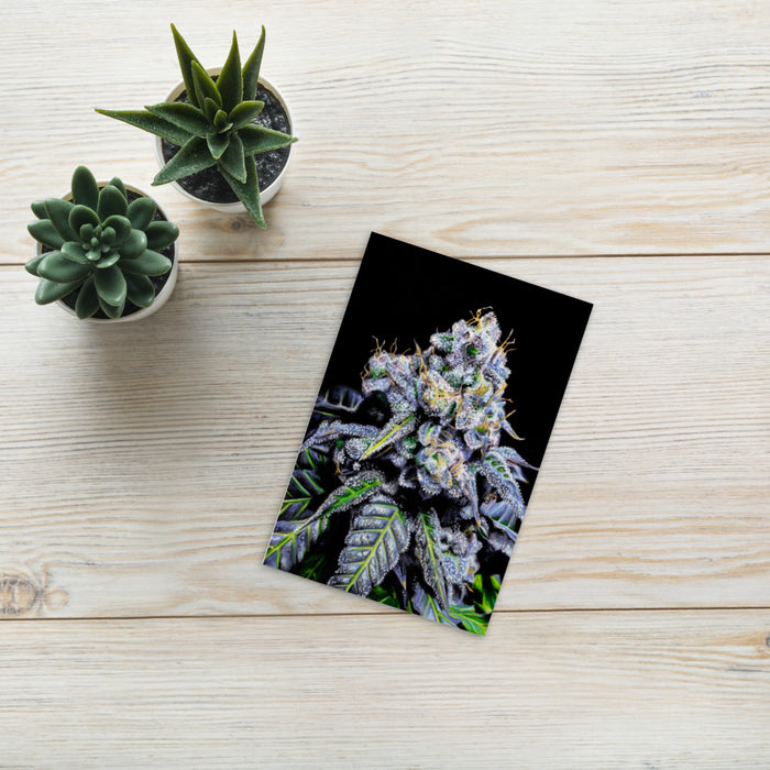 Alien OG Flower Mini Photopaper