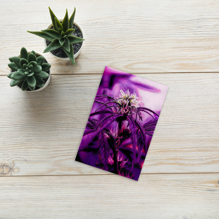 Chemdawg Mints Flower Mini Photopaper