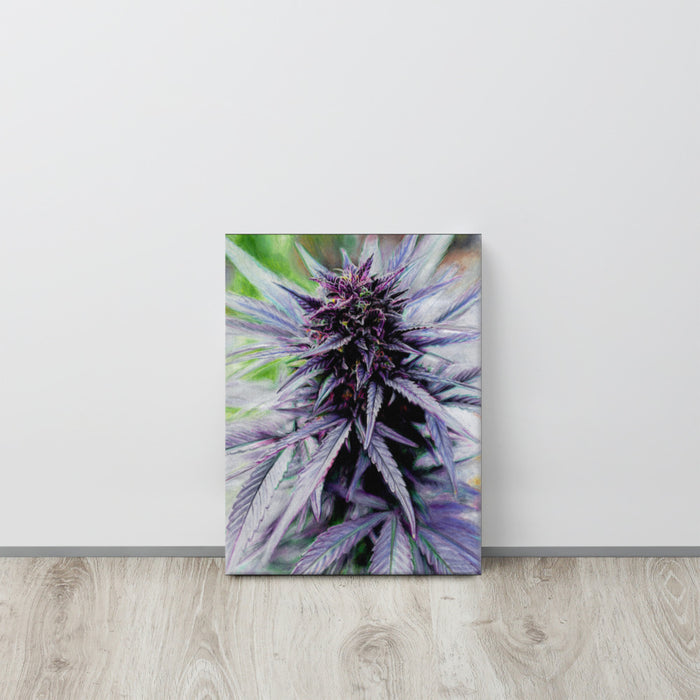 Purple Punch Flower Canvas Print