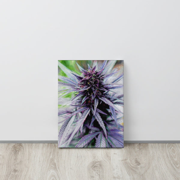 Purple Punch Flower Canvas Print – The Censored Canvas