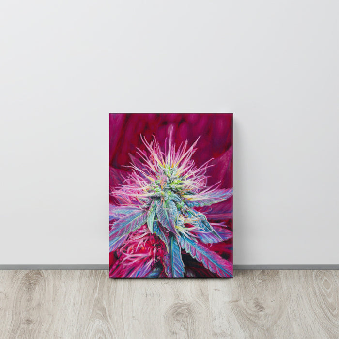 Pink Panther Flower Canvas Print