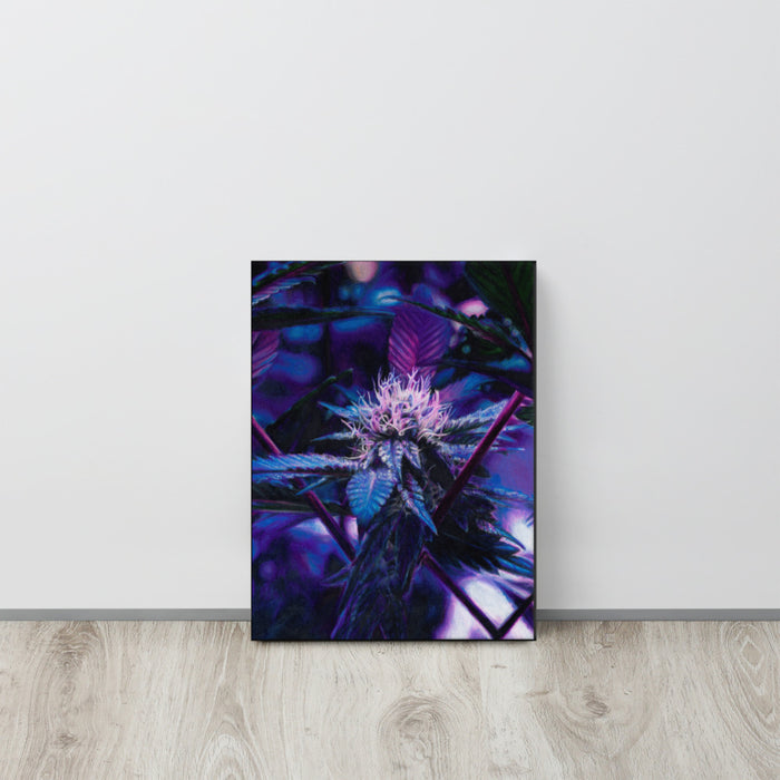 Sapphire Scout Flower Canvas Print