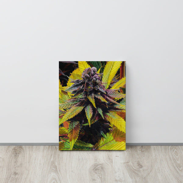 Grape Funk Flower Canvas Print – The Censored Canvas