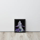 Purple Panty Dropper Framed Flower Print