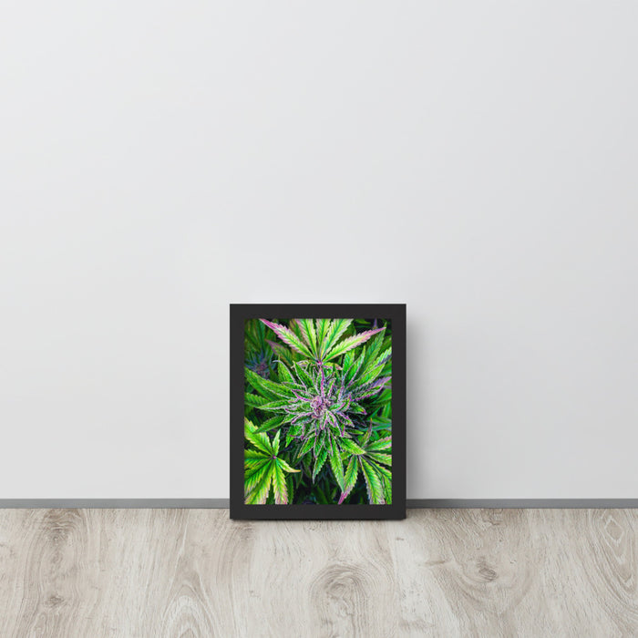Lemongrass Framed Flower Print